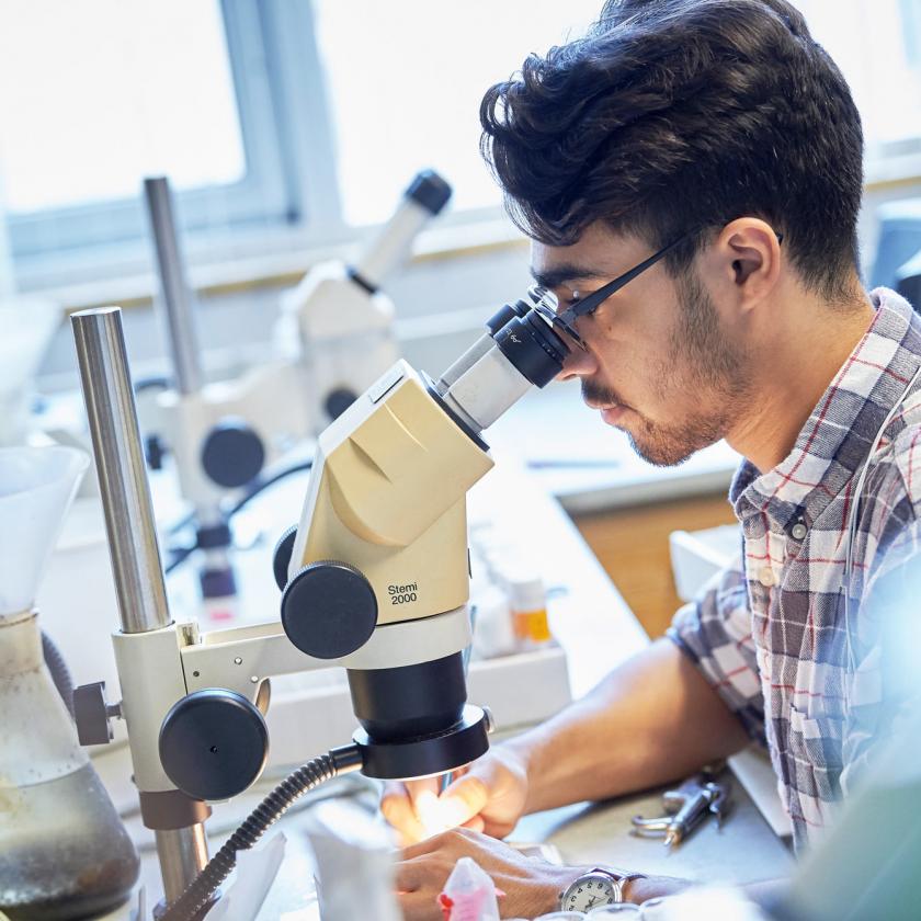 Scientist Looks Through a Microscope
