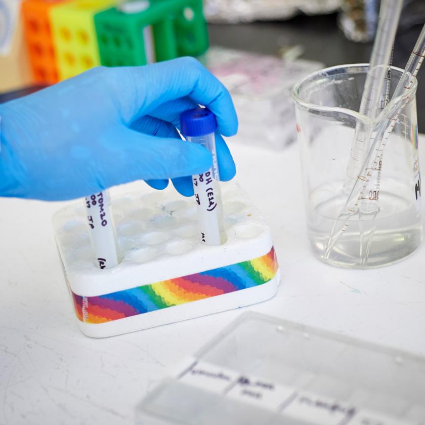 Scientist Handles a Test Tube in a Laboratory