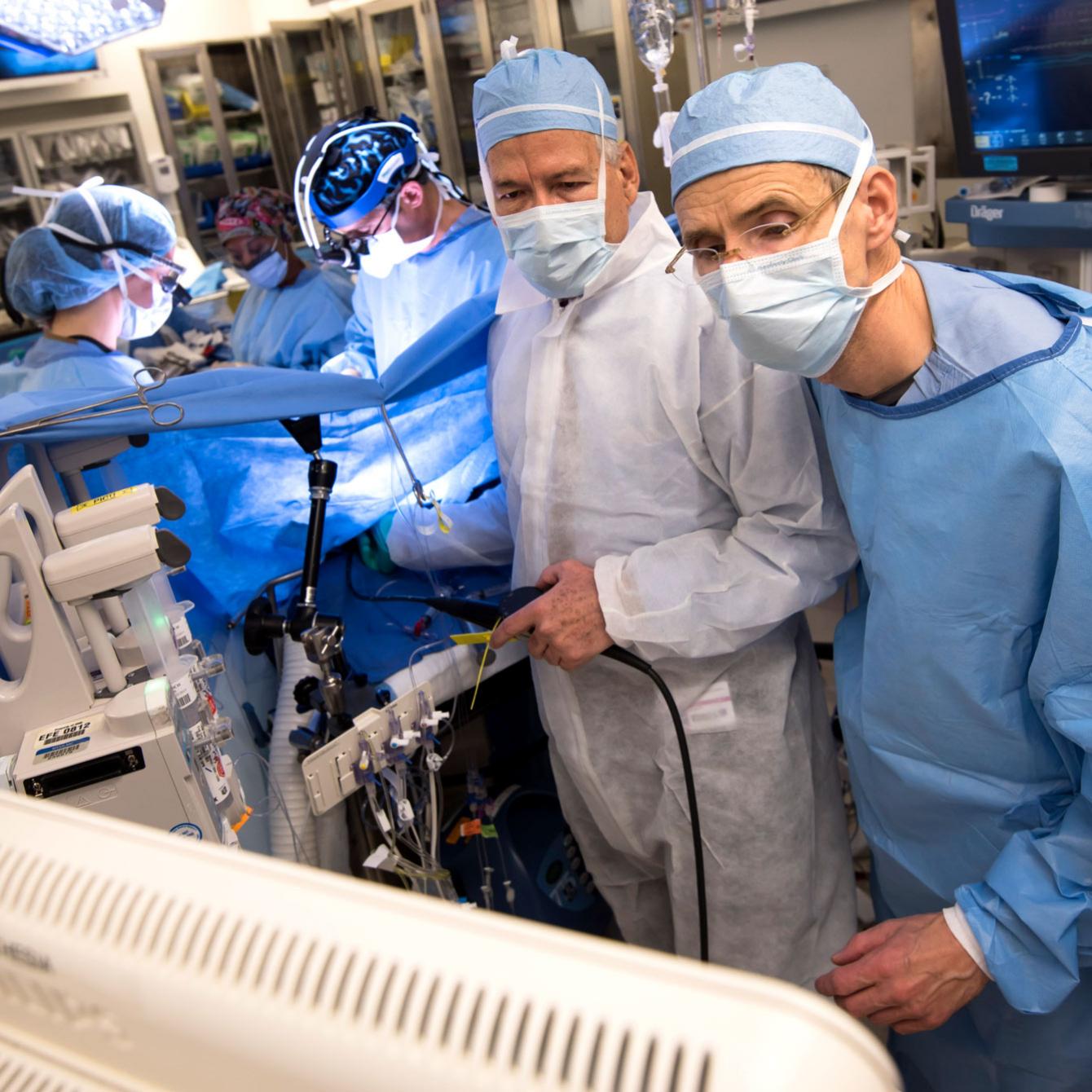 Department of Cardiothoracic Surgery Education NYU Langone Health