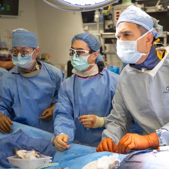 Division of Cardiology Education NYU Langone Health