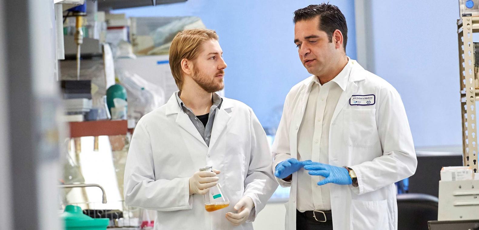 Neuroscience Institute Postdoctoral Program NYU Langone Health