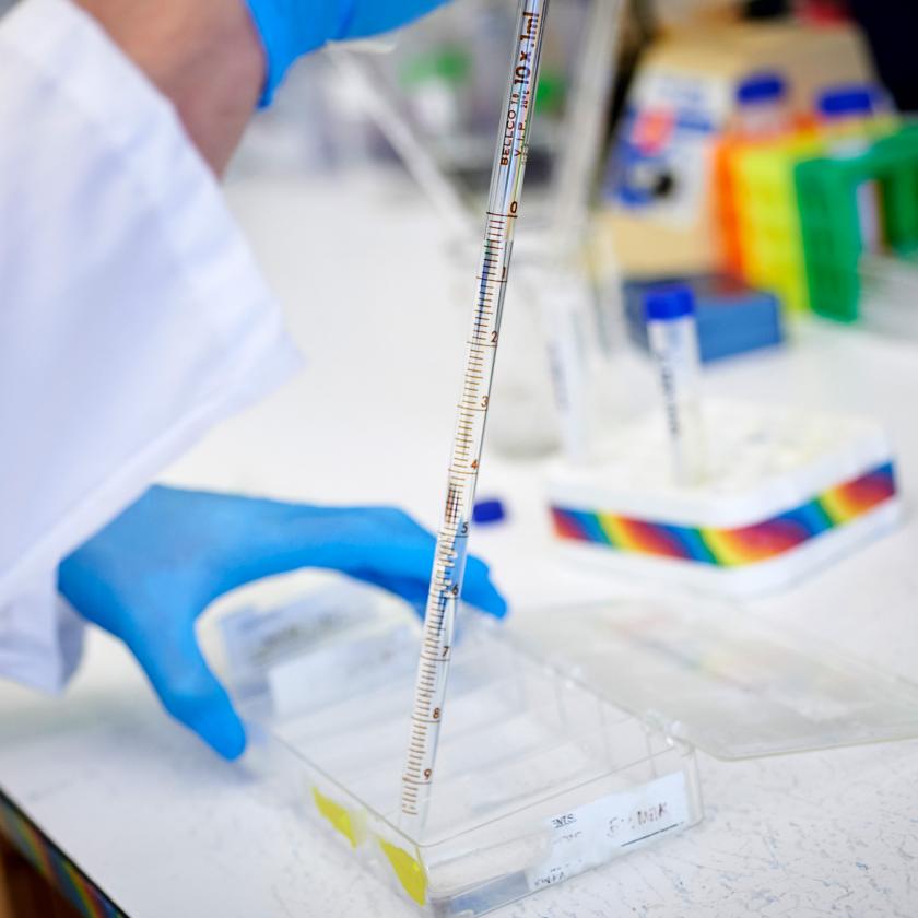 Neuroscience Institute Investigator Conducts Research