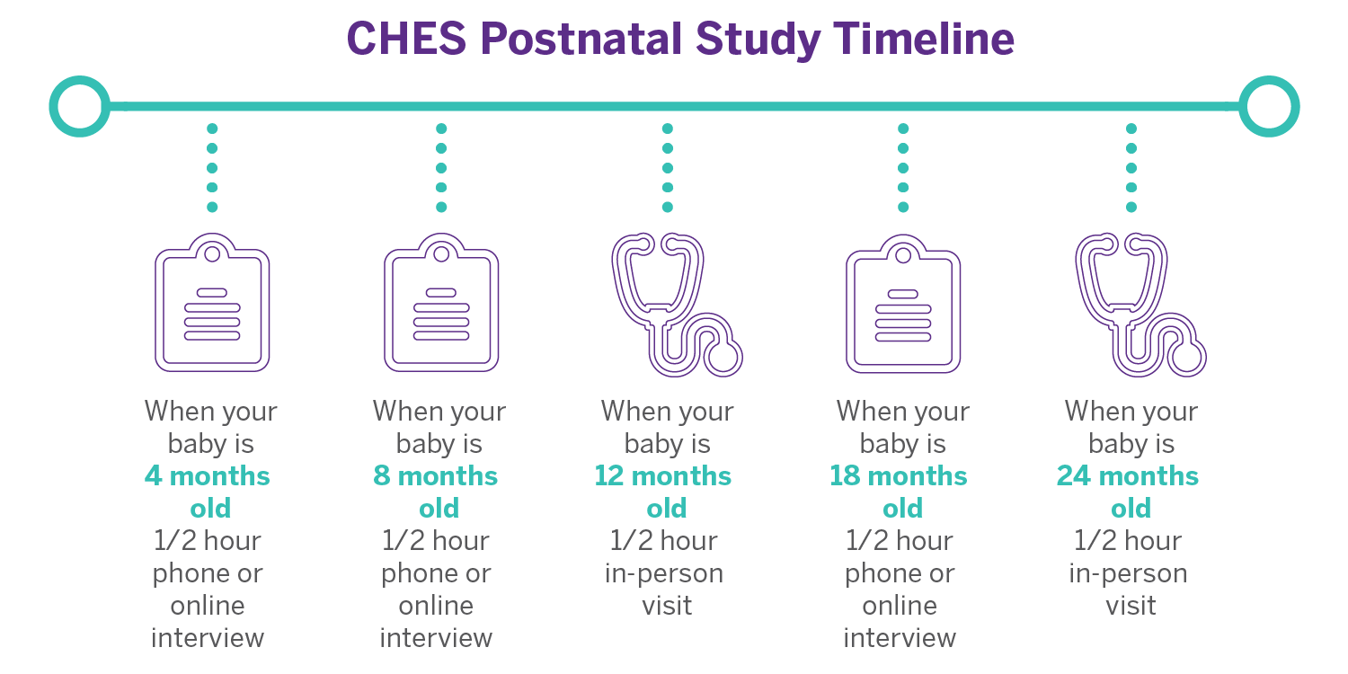 CHES Postnatal Study Timeline