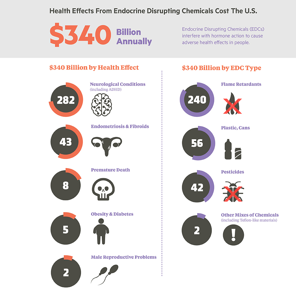 Health cost of endocrine disrupting chemicals infographic