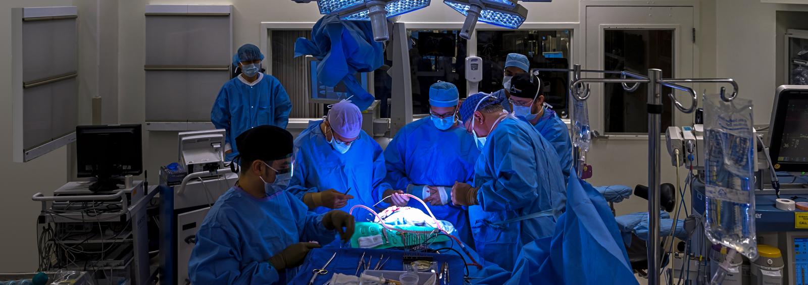 Department of Plastic Surgery Education NYU Langone Health