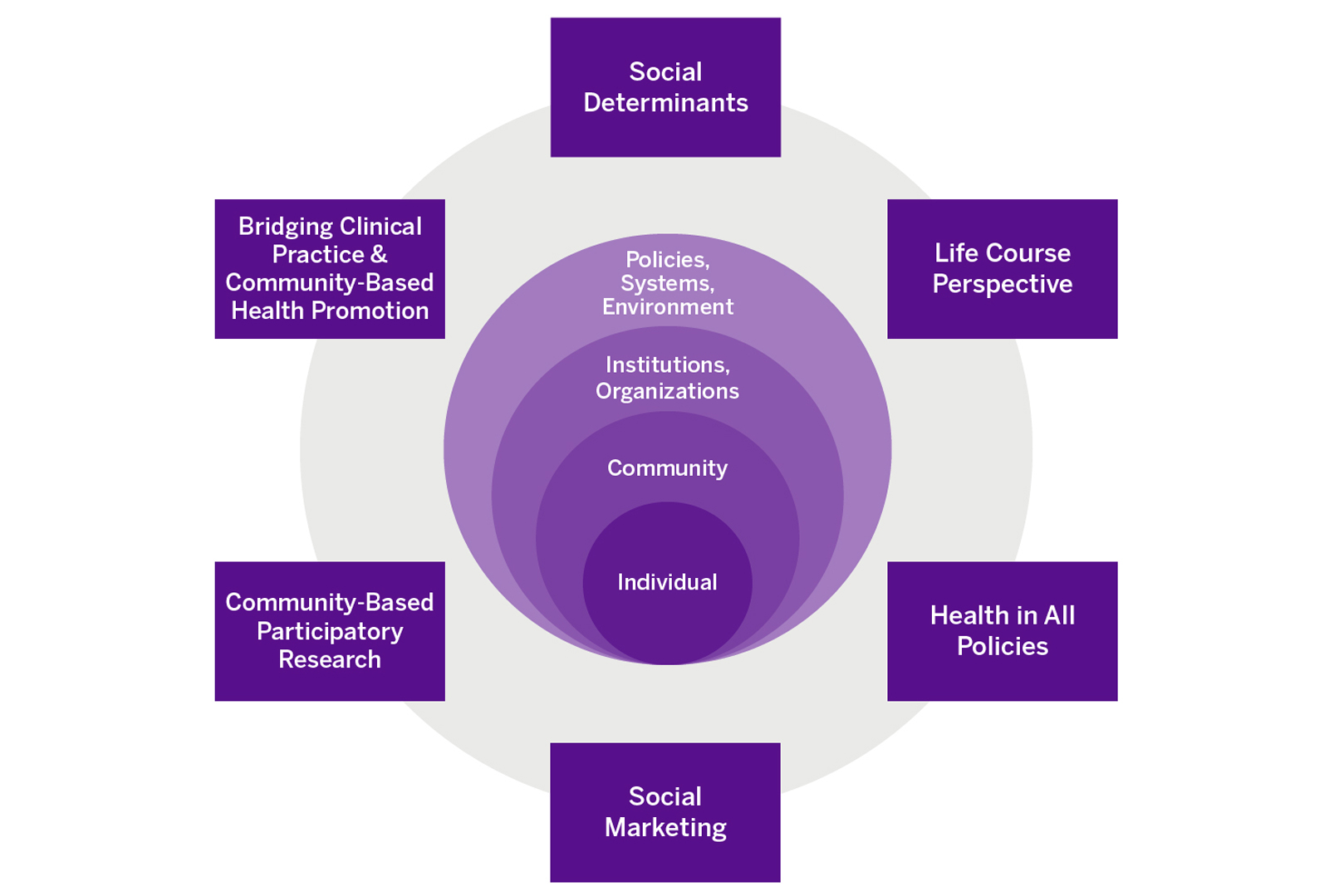 How Medical Affairs Can Promote Health Equity and Address Social  Determinants of Health – Medical Affairs Professional Society