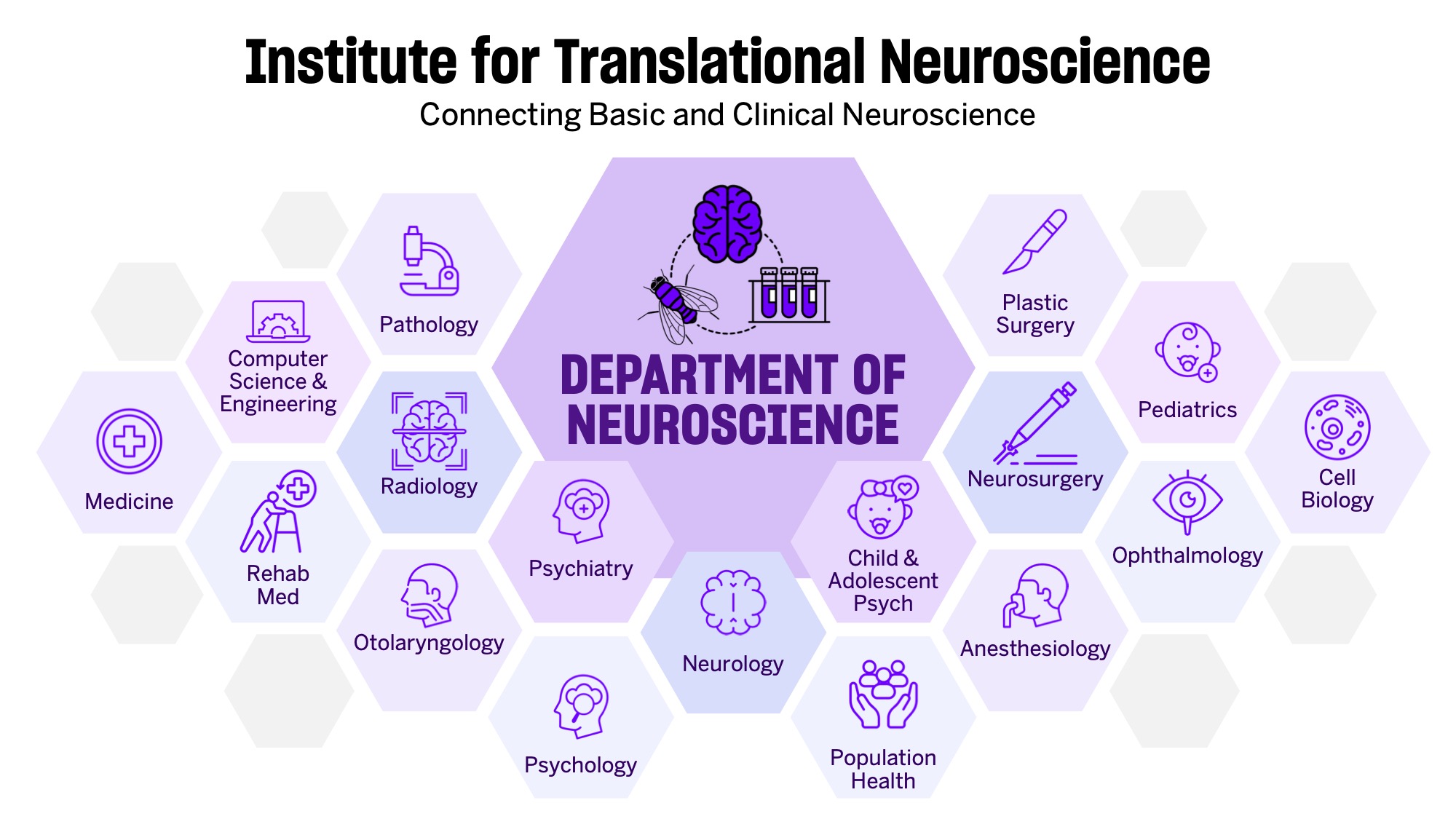 A graphic with the words “Department of Neuroscience: Connecting Basic and Clinical Neuroscience and pictures of 17 areas of research”