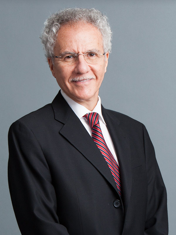 Faculty profile photo of Enrico  Ascher