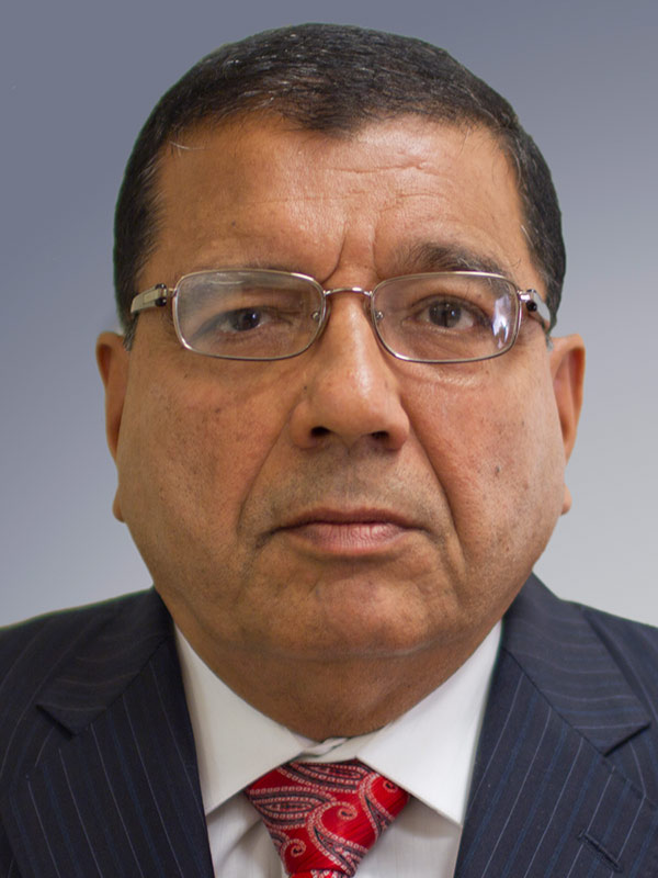 Faculty profile photo of Satish  Dhalla