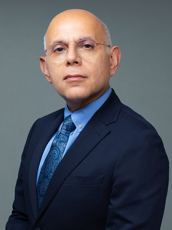 Faculty profile photo of Parsa  Mirhaji