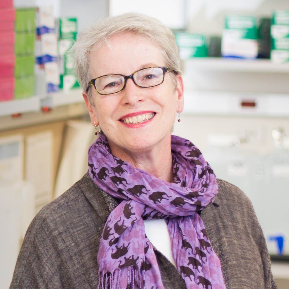 Sheenah M. Mische photo