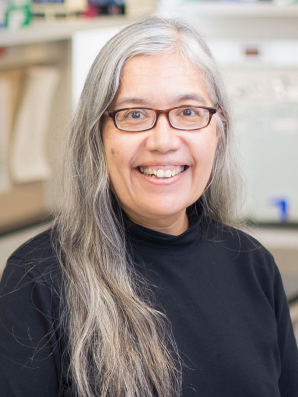 Faculty profile photo of Irma  Sanchez