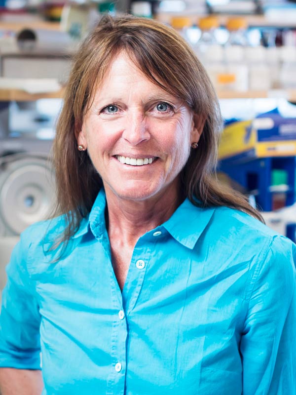 Faculty profile photo of Jane  Skok