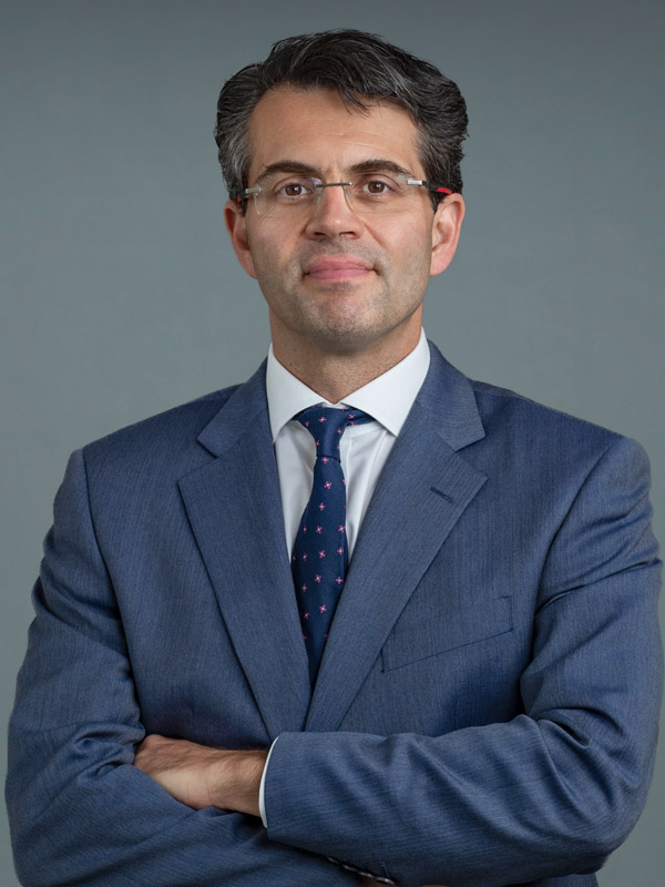 Faculty profile photo of Tamas A. Gonda