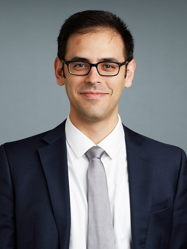 Faculty profile photo of Daniele  Massera
