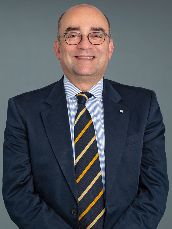 Faculty profile photo of Hossein  Sadeghi-Nejad