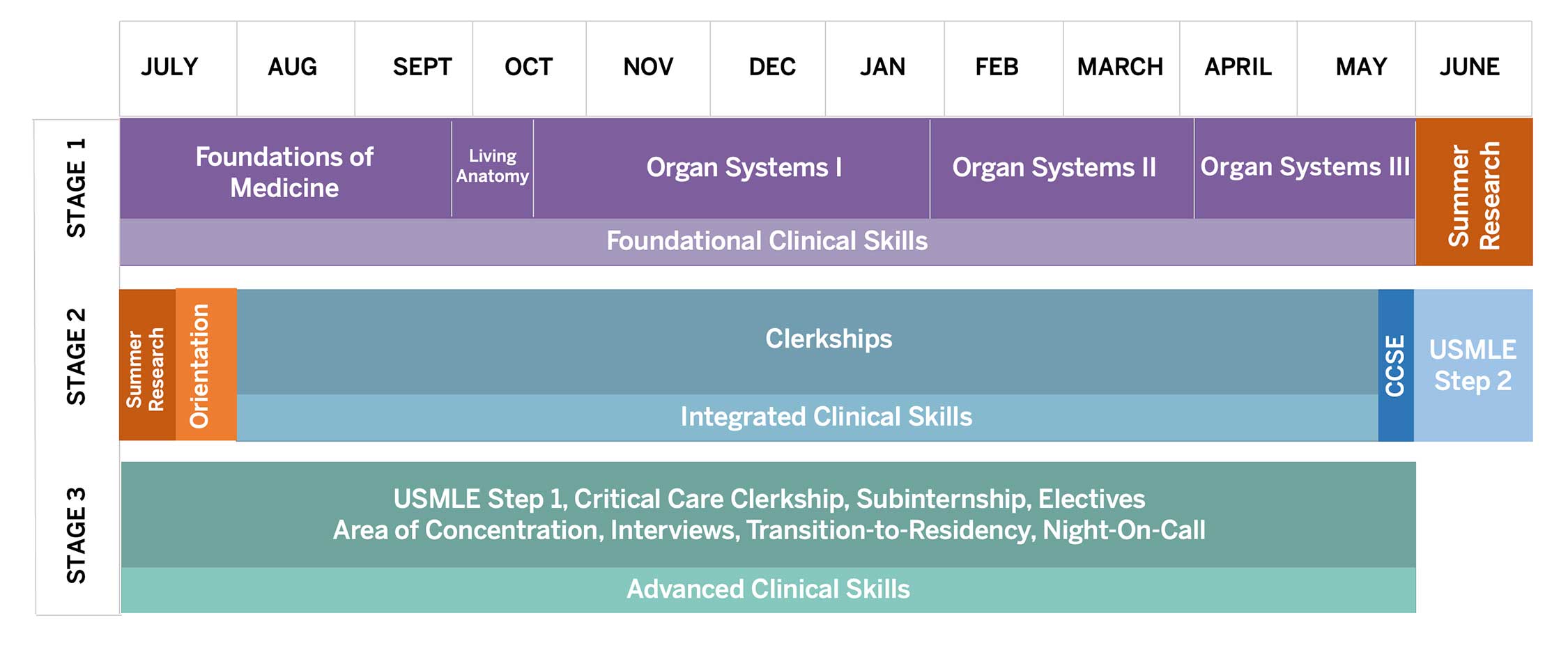 Accelerated Three Year MD Pathway