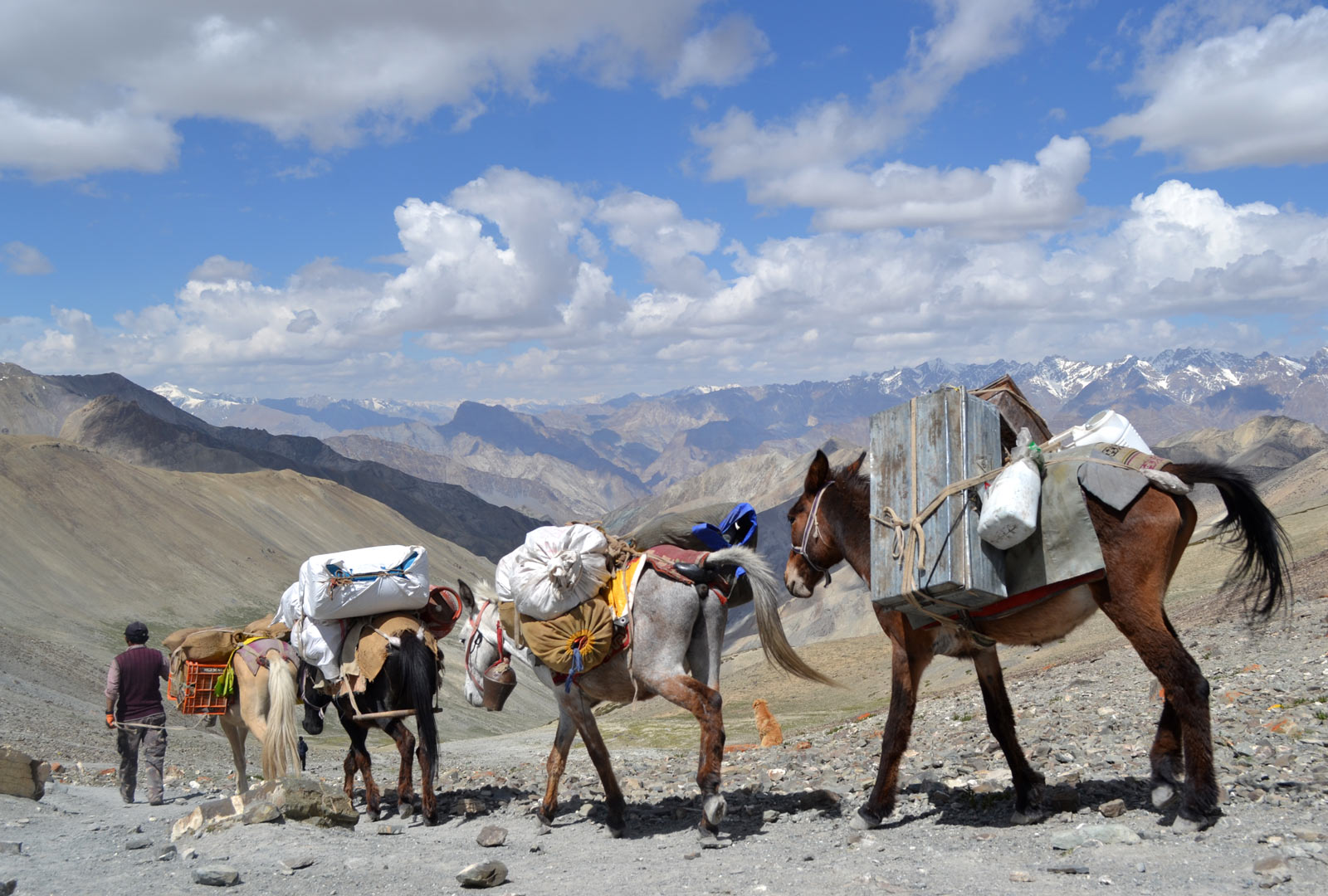 Mountain Pass in Ladakh, India
