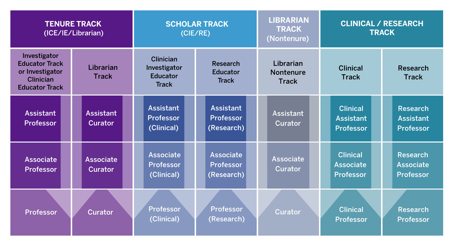 Nyu Chart