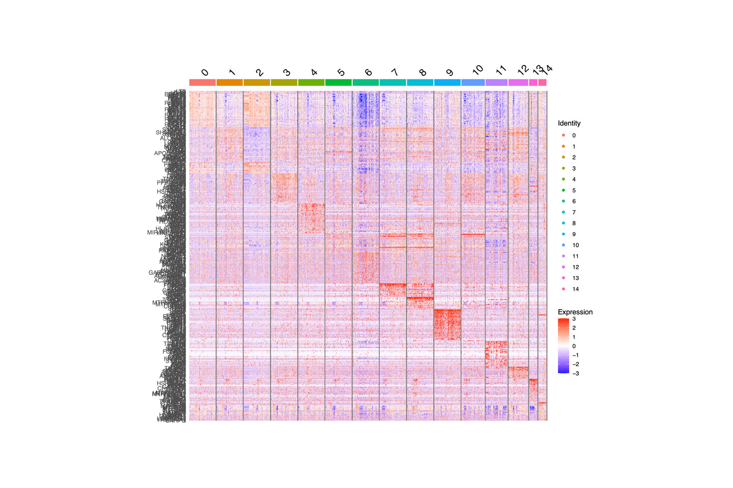 Heatmap Visualization of Top Marker Gene Expression Per Cluster