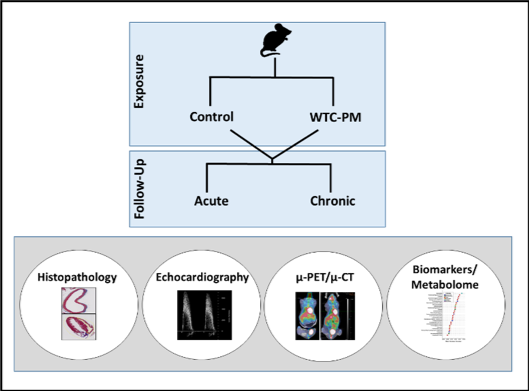 Graphic Listing Histopathology, Echocardiography, PET and CT Scans, and Biomarkers as Research Technologies Used by the Lab