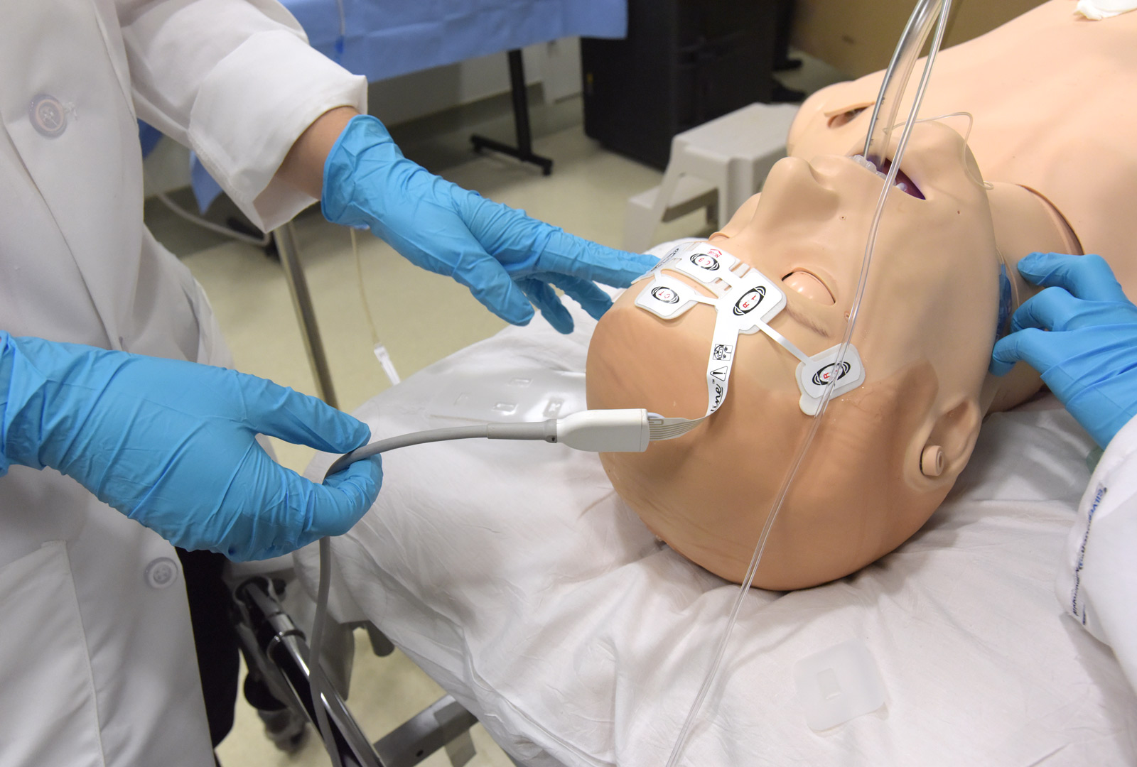 I ricercatori misurano la funzione cerebrale durante la simulazione dell'arresto cardiaco