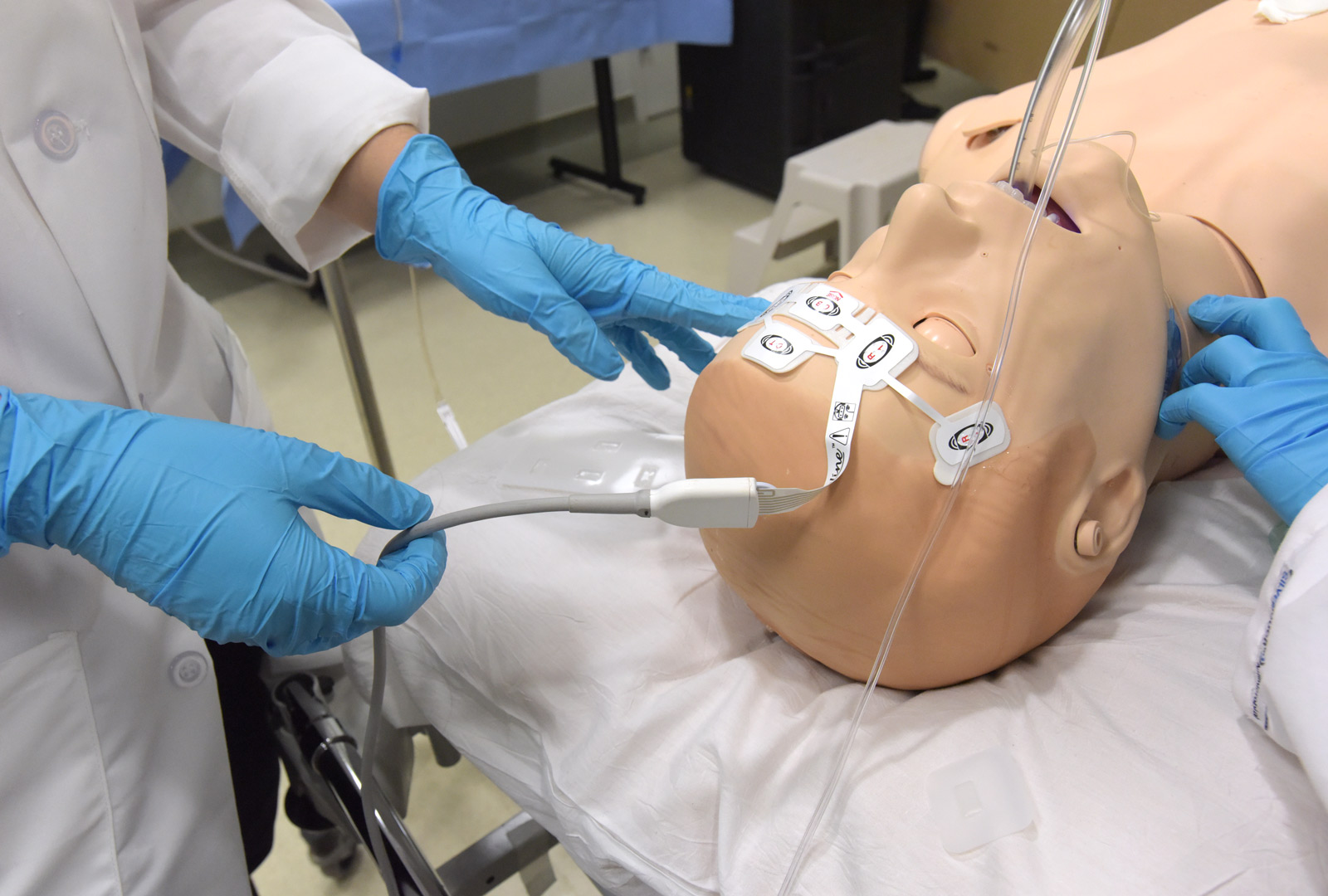 Researchers Measure Brain Function during Cardiac Arrest Simulation