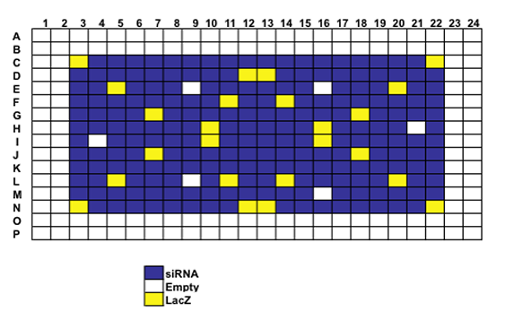 Drosophila Transmembrane Genes