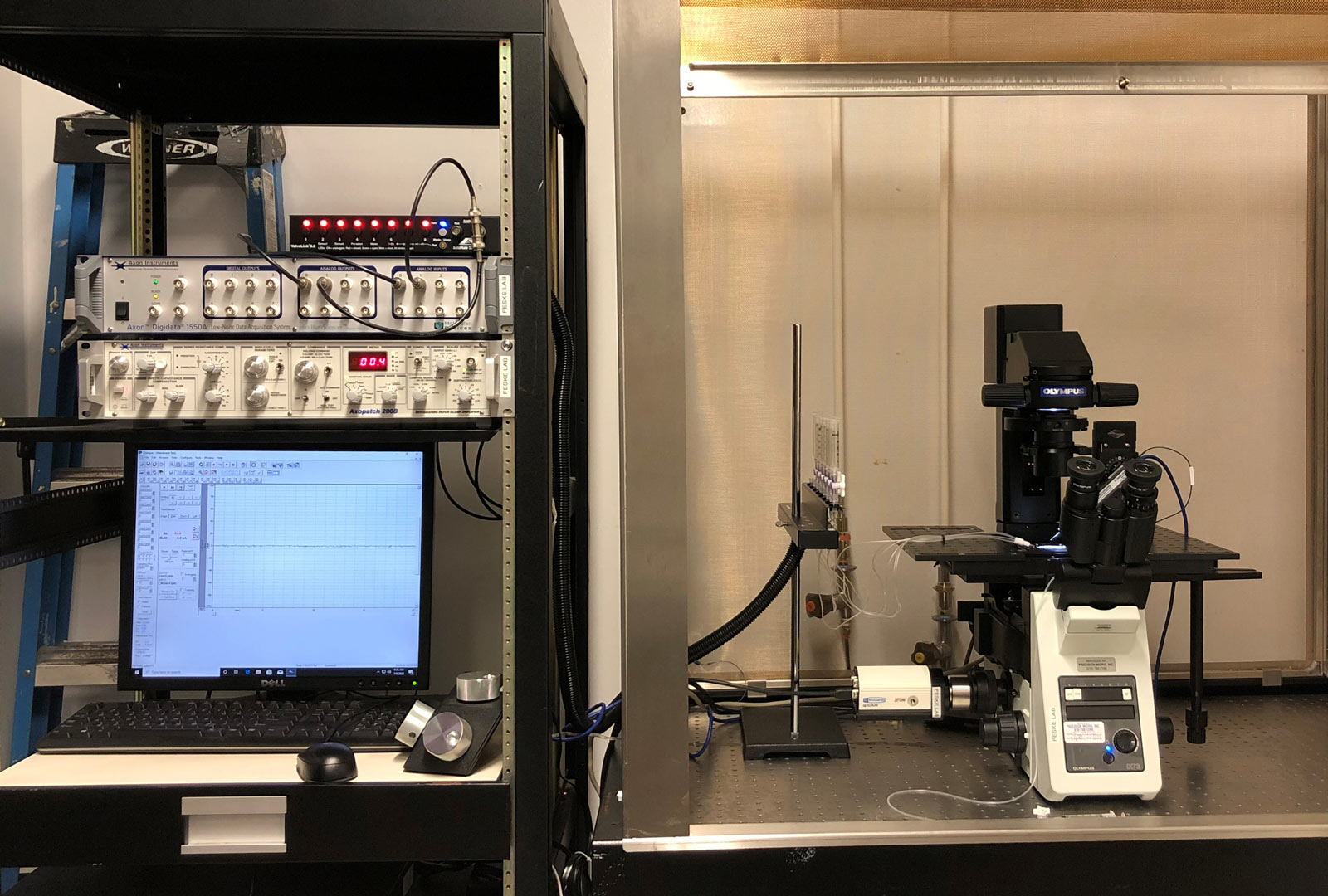 Manual Patch Clamp System