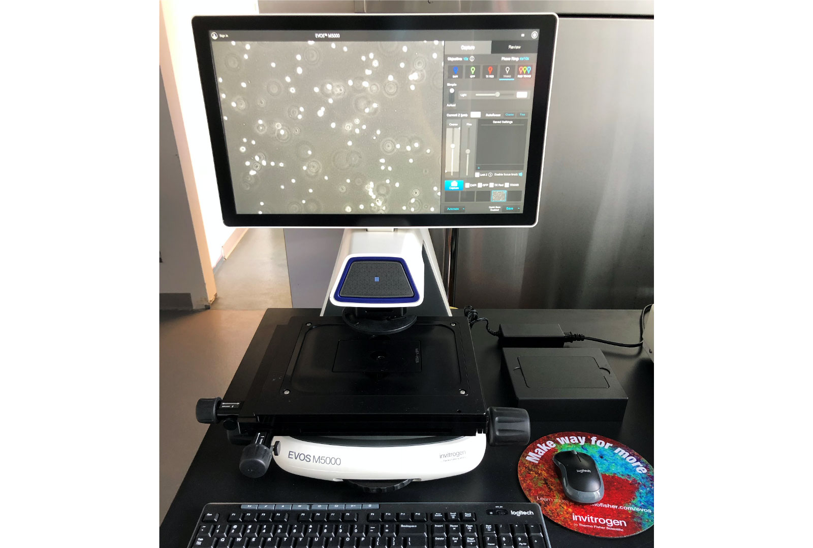 Thermo-Scientific EVOS M5000 Microscope