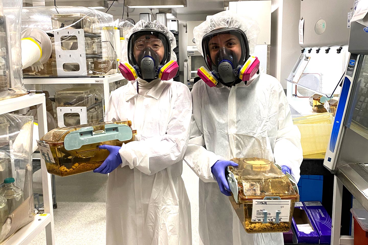 Members of the Shopsin Lab wear protective gear while working in a laboratory.