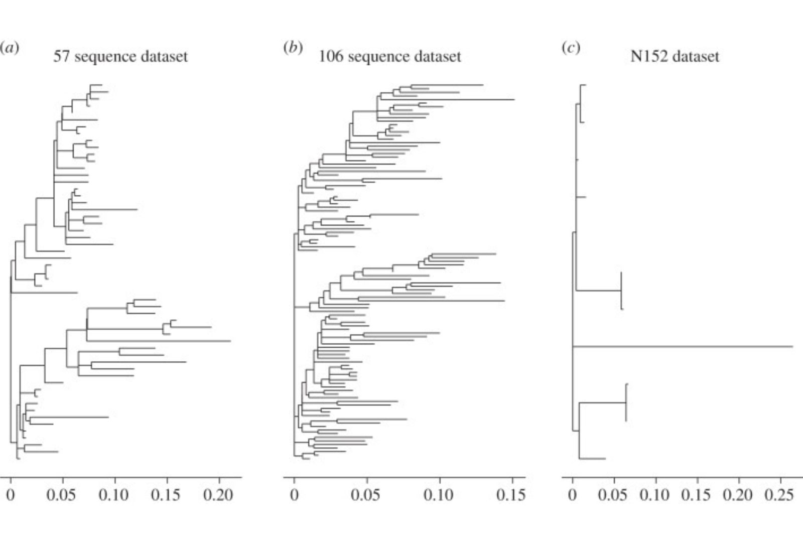 Phylogenetic Trees of Clonally Related IGH Sequences, Reconstructed by Maximum Likelihood, and Rooted on the Center of the Tree