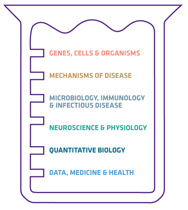 Categories of PhD Training Programs at Vilcek Institute of Graduate Biomedical Sciences