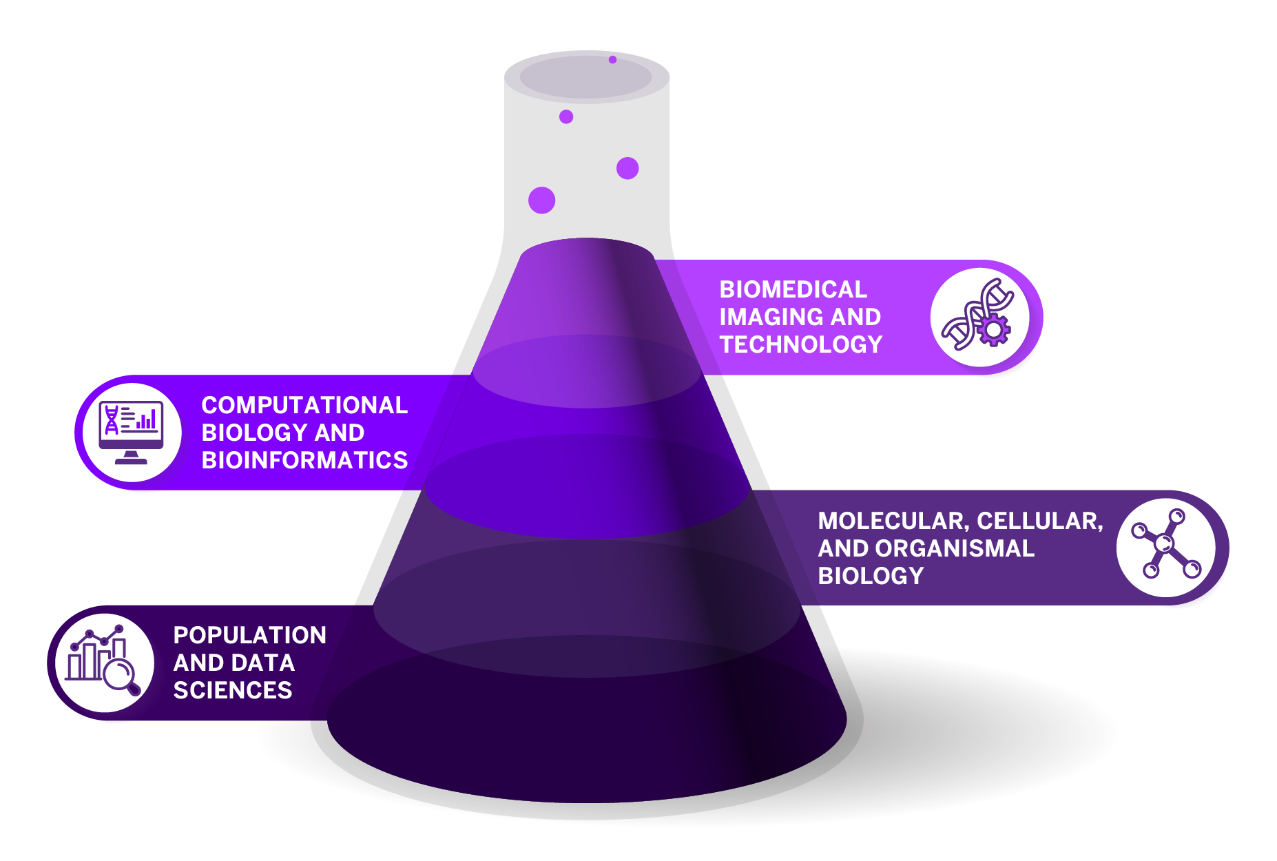 Categories of PhD Training Programs at Vilcek Institute of Graduate Biomedical Sciences