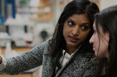 Postdoctoral Fellow Bhama Ramkhelawon with Colleague in Lab