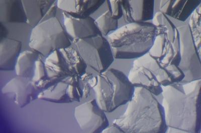 View Through Microscope