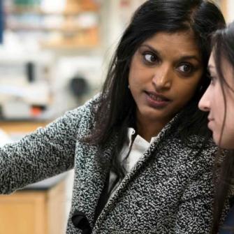 Postdoctoral Fellow Bhama Ramkhelawon with Colleague in Lab