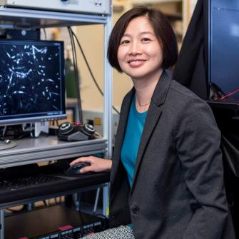 Dr. Guang Yang