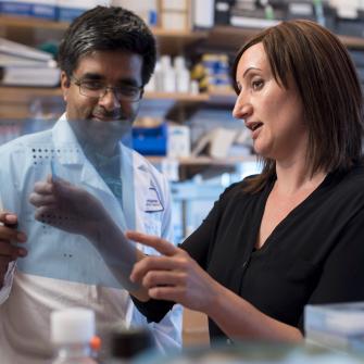 Researchers Examine Data in Lab