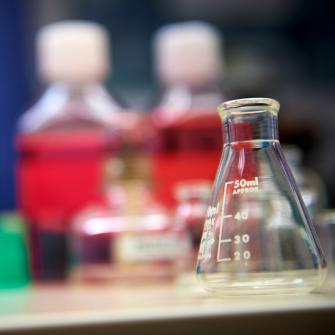 Erlenmeyer Flask in Laboratory Setting